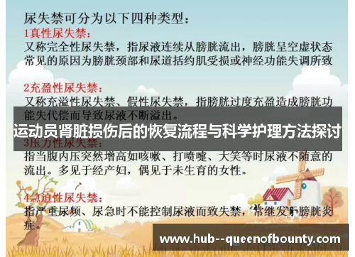 运动员肾脏损伤后的恢复流程与科学护理方法探讨 运动员肾脏损伤后的恢复流程与科学护理方法探讨