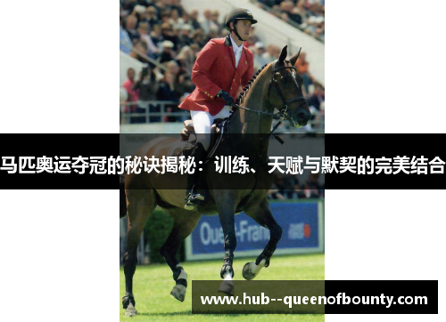 马匹奥运夺冠的秘诀揭秘：训练、天赋与默契的完美结合