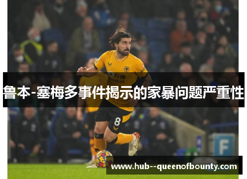 鲁本-塞梅多事件揭示的家暴问题严重性